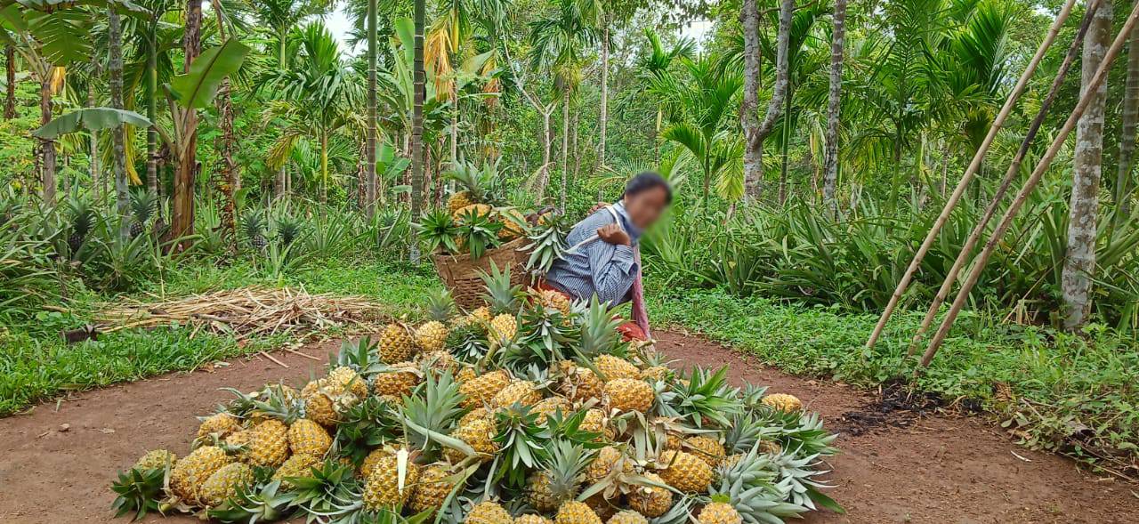 Our Farming Community